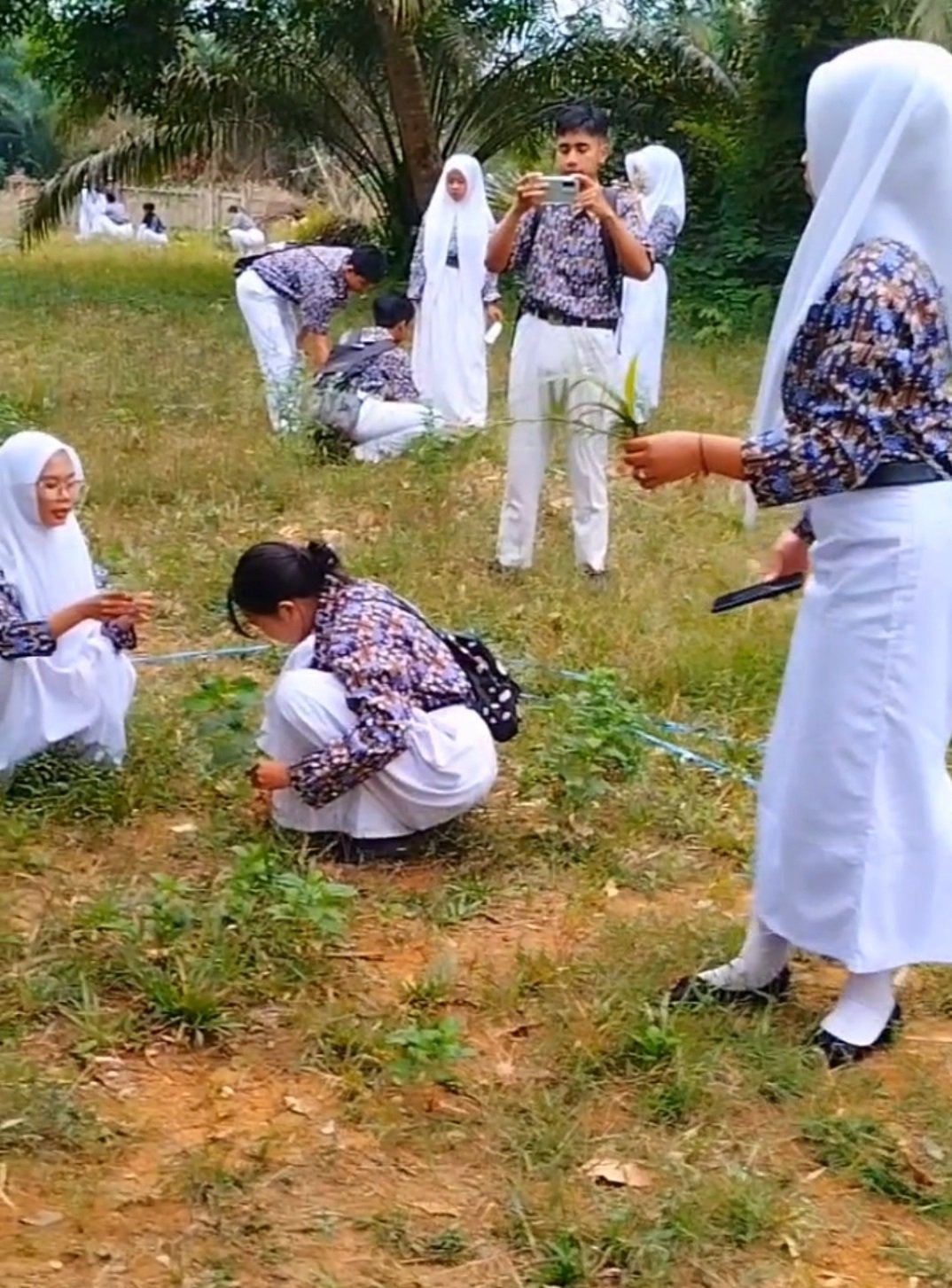 Belajar dari Alam: Siswa SMAN 1 Balai Riam Uji Kompetensi Biologi Lewat Eksplorasi Taman Hutan Mini